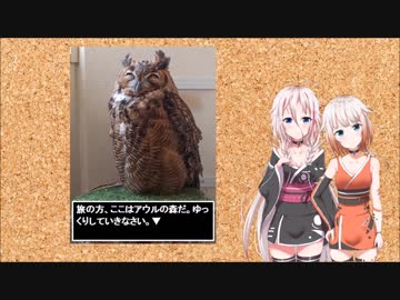 CeVIO Radio_IAとONEの[気まぐれARIA]_2018.07.29_また秋葉原のアウルの森にいってきたよ。種類も個性も色々なフクロウたちの写真も撮ってきた。