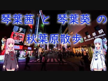 琴葉茜と琴葉葵の秋葉原散歩！　その1