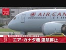 現在の様子