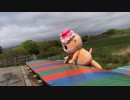ちぃたん☆欲張り動画セット Part4　Japanese Mascot Fails Fights  Funny Moments Video