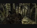 【スカイリム】-part9-　新タイトルSkyrim！9日目♪YouTube、ニコ生、ツイッチ同時配信(≧▽≦)