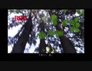 【YouTube版字幕付き】ジョーズ19 (2/3)