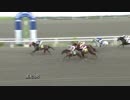 2018年7月29日高知競馬8R 大関厩舎協賛 祝２万回騎乗特別(C2-ロ・C3-ニ) ボーアムルーズ