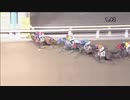 2018年7月30日大井競馬11R サマーナイト賞(B1-二・B2-二) マイネルジャスト