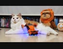 【マンチカンズ】超絶変形マッサージ師アクセリオン