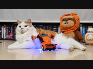 【マンチカンズ】超絶変形マッサージ師アクセリオン