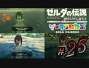新作ゼルダを風タクしかやったことないうp主がプレイしてしまった part25