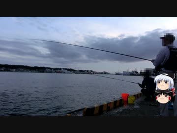 釣った小アジと小サバをマリネでいただきます！