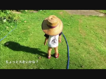 ぼくのなつやすみ実写版関東 ３日目