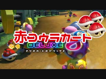 【マリオカート8DX】 vs #21 ロイハナちゃん青ローラー【実況】