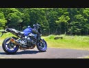 MT-10でツーリング 一ノ俣桜公園編