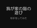 ミンサガもひと段落したので猫