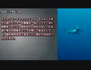 ファインディング ニモ