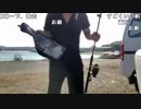 【ハコッス】魚釣ってアジフライ食いたい配信！！ 4/13
