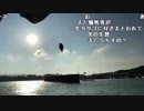 【ハコッス】魚釣ってアジフライ食いたい配信！！ 6/13