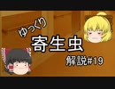 【ゆっくり解説】ゆっくり寄生虫解説#19~回虫~
