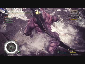 【PS4】モンスターハンターワールド　その10【MHW】