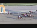 2018年8月1日大井競馬6R ビアスタンド賞(C2-四・五) キセキノオクリモノ