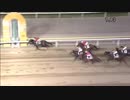 2018年8月1日大井競馬10R アメリカンアンバサダーカップ(B2-三・B3-一) キャプテンハウテン