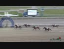 2018年8月1日門別競馬8R アンタレス特別(JRA500万下・A2) クベーラ