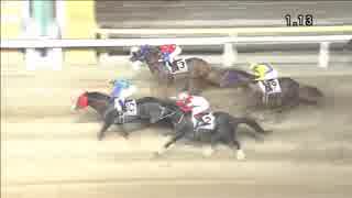 2018年8月2日大井競馬11R アフター５スター賞トライアル(A2以下) プリサイスキング