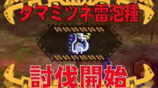 【MHXR】強襲！タマミツネ雷泡種！　マルチで討伐してみた