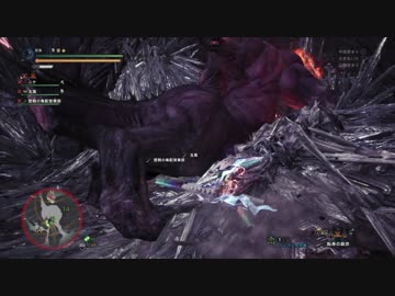 【PS4】モンスターハンターワールド　その12【MHW】