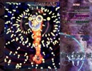 【実況】雑な四十路がLunaticに挑戦【輝針城EX】Part2