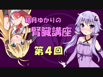 【弦巻マキ】結月ゆかりの腎臓講座 part4 腎臓と検査【結月ゆかり】