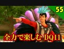 【二人実況】息子が娘になっていたら父は。全力で楽しむDQ11実況 Part55【PS4】