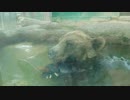 アヤメちゃんの水浴び♡（無修正ＡＶ）