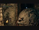 【1080p60fps】DARK SOULS REMASTERED 初見プレイ動画 part13