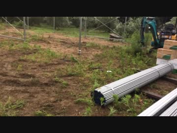 きゅうり栽培実況vol.44   うどんこの経過観察。