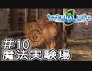 知らない人向け エターナルリング紹介実況 #10