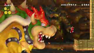 【TAS】Wii NewスーパーマリオブラザーズWii 