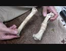 野宿の勧め（その９）