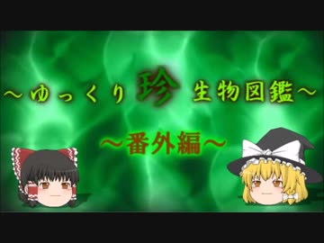 ～ゆっくり　珍　生物図鑑～　番外編29