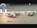 2018年8月4日高知競馬11R 平成３０年７月豪雨災害被災地支援 よさこい祭り特別(C2-1組) トウカイパイロ