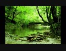 【癒し】小鳥のさえずりと渓流のせせらぎ（睡眠用BGM・作業用BGM）