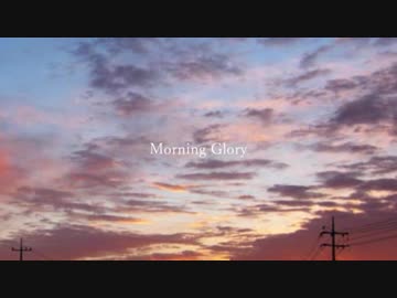 Morning Glory / IA