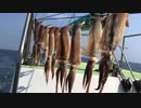 イカ釣って船上干しを作って食おうＺＥ！