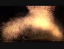 2018.8.4 （大阪） 第３０回記念なにわ淀川花火大会