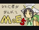 初心者が頑張ってMoE5