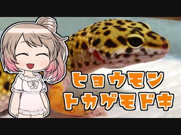 ささらさんちのはちゅペット#3