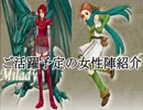 【ロイ＋女性縛り】主に女性が活躍するファイアーエムブレム封印の剣 第１３章前編