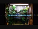 【リセット】アクアテラリウム2018.8【立ち上げ】