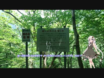 紲星あかりのやりたい事やってやる「無想吊橋」編