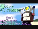 #5海パンクそして円盤雑音 -What's Seapunk and Lo-fi hip hop?-【Smiley笑顔のガラクタ放送局】