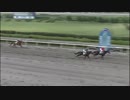 的場文男騎手ついに佐々木竹見元騎手に並ぶ地方通算7151勝目！　2018/08/06 浦和10R サードニクス賞【タマモサーティーン】