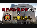 六甲おろし・ヨドバシカメラアレンジ